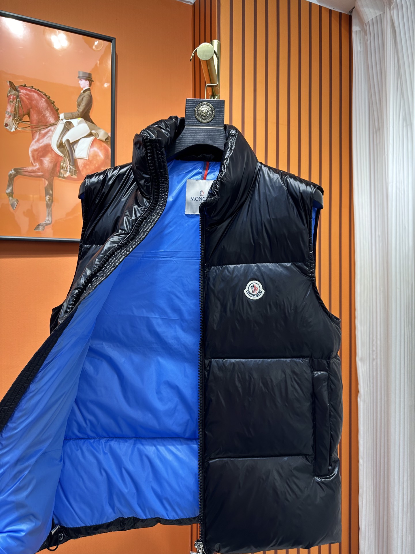 Moncler Down Jackets